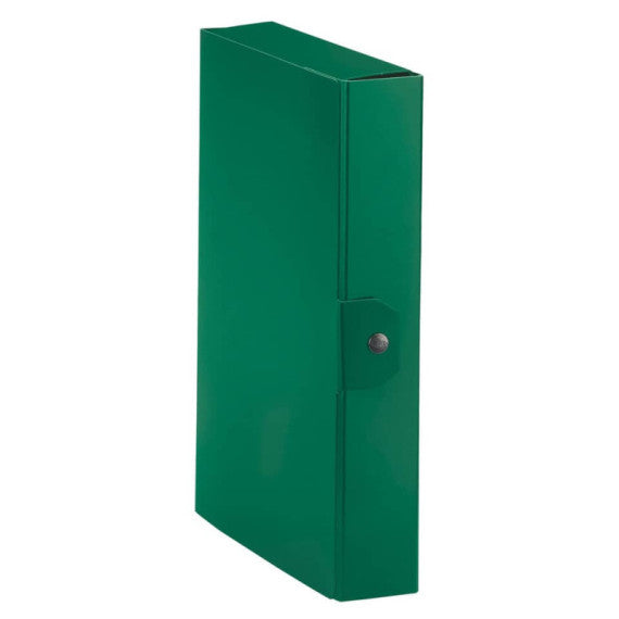 Cartella portaprogetti Esselte C86 DELSO ORDER dorso 6 cm presspan lucido verde 25x35 cm - 390386180
