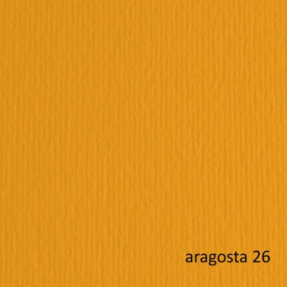Cartoncino Elle Erre - 50x70cm - 220gr - aragosta 26 - Fabriano - blister 20 fogli