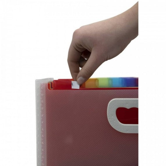 Classificatore valigetta Crystal Colours cristallo 24 scomparti 33x23,5x25cm con maniglia - 55198E