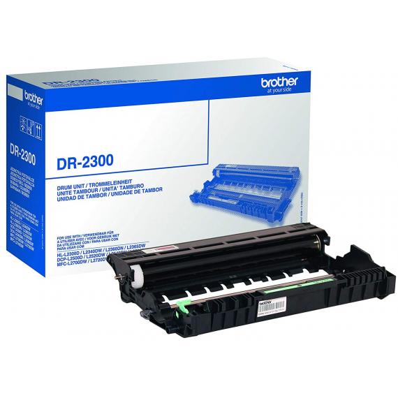 ORIGINALE BROTHER DR2300 NERO DRUM TAMBURO PER Brother HL-L2300 DCP-L2500 MFC-L2700 DR-2300 CAPACITA 12.000 PAGINE