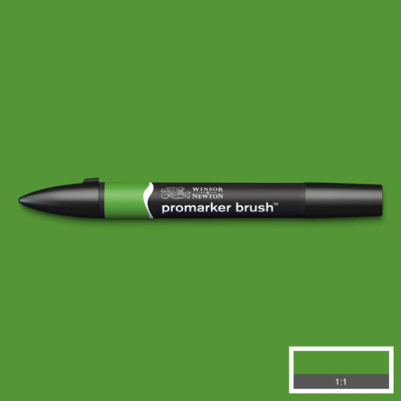 Pennarelli doppia punta Winsor&Newton brush forest green - 0204068