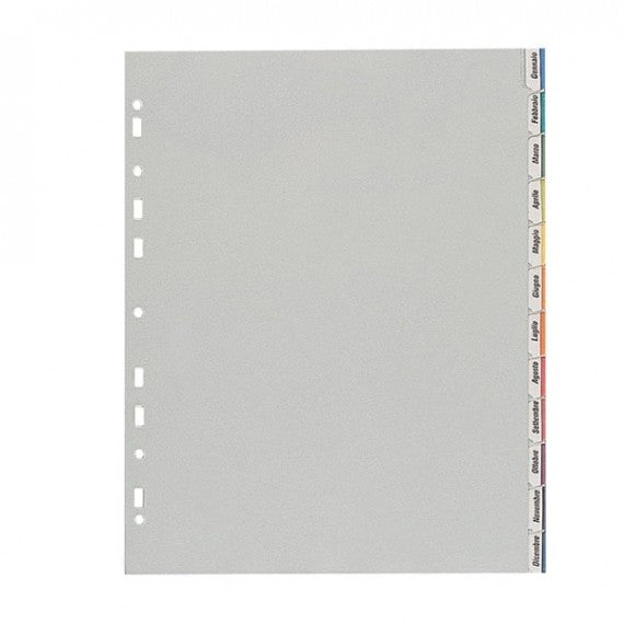 Separatore - 12 tacche personalizzabili - PP - 22x30 cm - grigio - Favorit