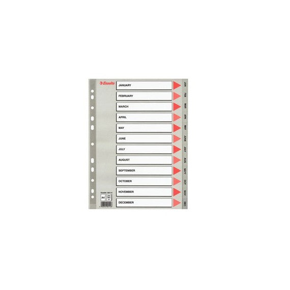 Separatore mensile Gen/Dic - PPL - A4 - grigio - Esselte