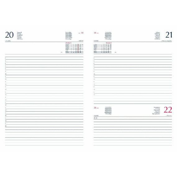 Agenda 2025 Giornaliera S/D abbinati 17x24 cm Gommato verde 25-647B00404C