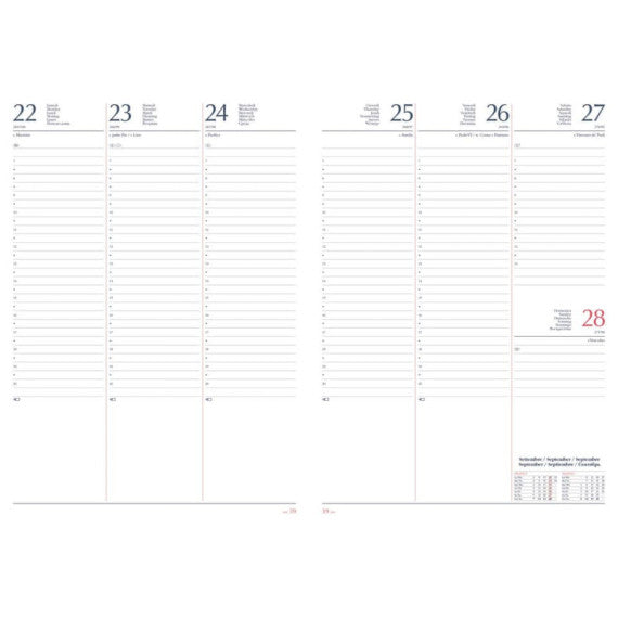 Agenda 2025 settimanale A4 21x29,7 cm gommato rosso 25-055500403C