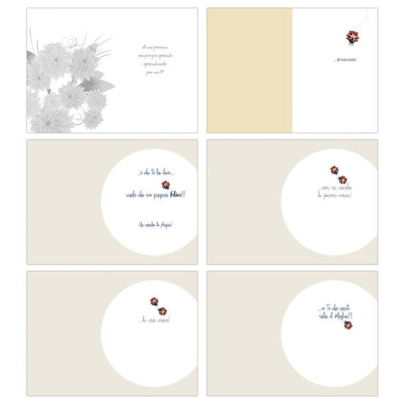 Biglietti augurali Biembi Compleanno 12x18 cm conf. 6 pezzi assortiti - coccinelle - BXBDKTC06