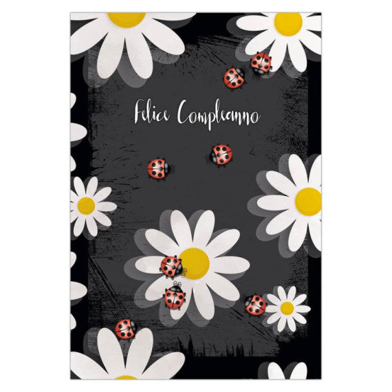 Biglietti augurali Biembi Compleanno 12x18 cm conf. 6 pezzi assortiti - coccinelle - BXBDKTC06