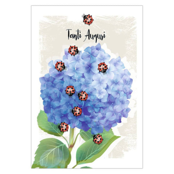 Biglietti augurali Biembi Compleanno 12x18 cm conf. 6 pezzi assortiti - coccinelle - BXBDKTC06