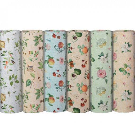 Carta regalo Eco Botanica - 70 x 100 cm - 65 gr - 100 fogli - Rex Sadoch