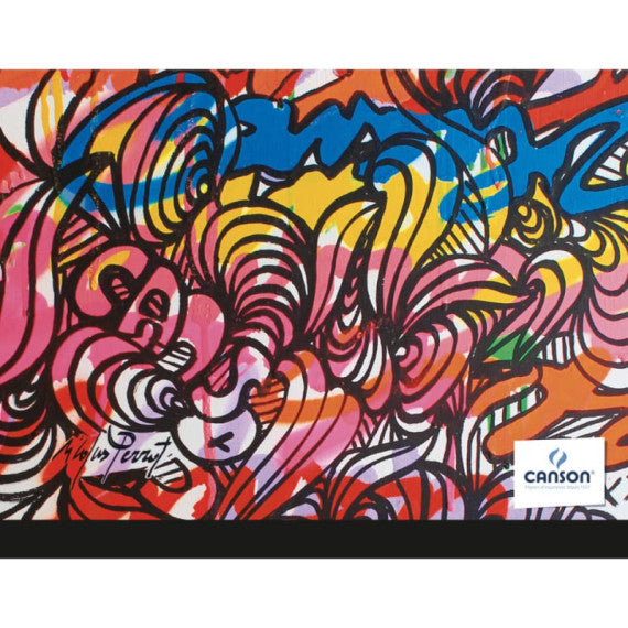 Cartelletta portadisegni Canson Creative Studio Edition 2020 - 2 elastici - 26x33 cm - C400110436