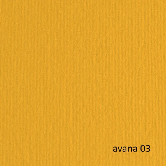 Cartoncino Elle Erre - 50x70cm - 220gr - avana 103 - Fabriano -  blister 20 fogli