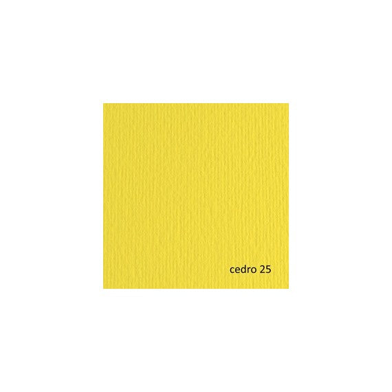 Cartoncino Elle Erre - 50x70cm - 220gr - cedro 25 - Fabriano - blister 20 fogli