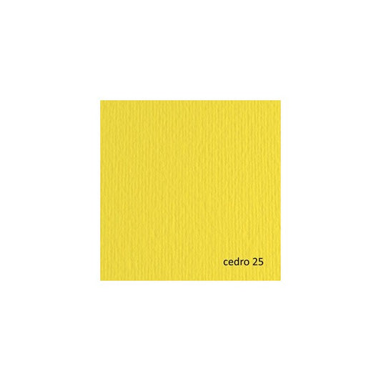 Cartoncino Elle Erre - 70x100cm - 220gr - cedro 125 - Fabriano - blister 10 fogli
