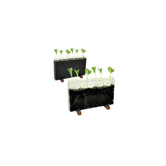 Contenitore Esplora il sottosuolo - 30 x 19 x 4 cm - Cwr