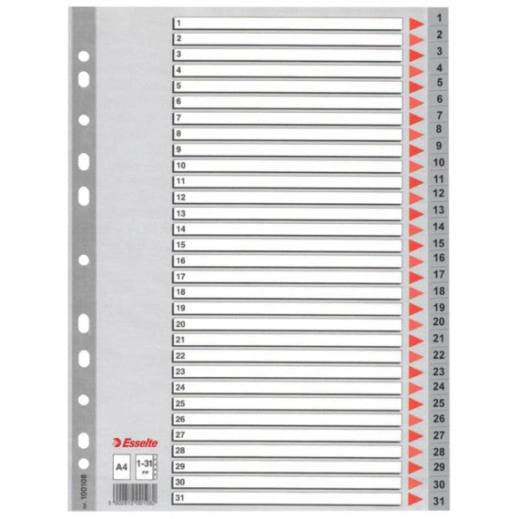 Divisori per rubrica Esselte A4 PPL numerica 1-31 100108
