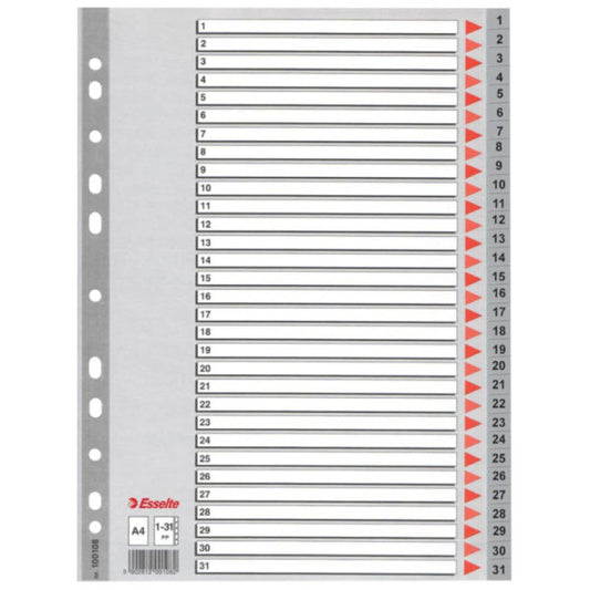 Divisori per rubrica Esselte A4 PPL numerica 1-31 100108