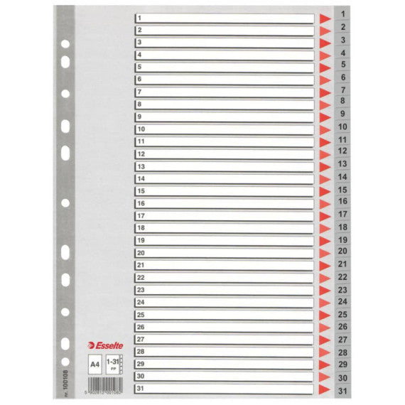Divisori per rubrica Esselte A4 PPL numerica 1-31 100108