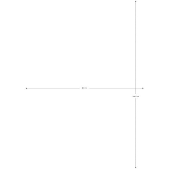 Etichette universali Q-Connect bianco 210x297 mm - 1 et./foglio - conf. da 100 fogli - KF10664