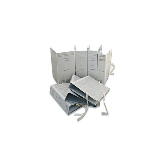 Faldone - legacci rivettati - 35x25 cm - dorso 5 cm - grigio - Euro-cart