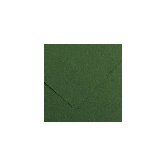 Foglio Colorline - 70x100 cm - 220 gr - verde abete - Canson