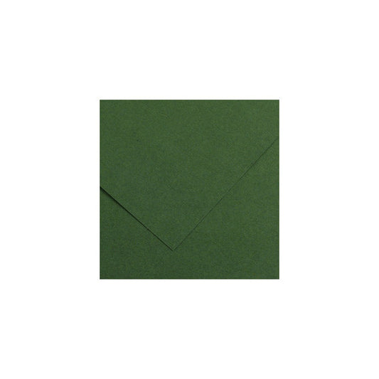 Foglio Colorline - 70x100 cm - 220 gr - verde abete - Canson