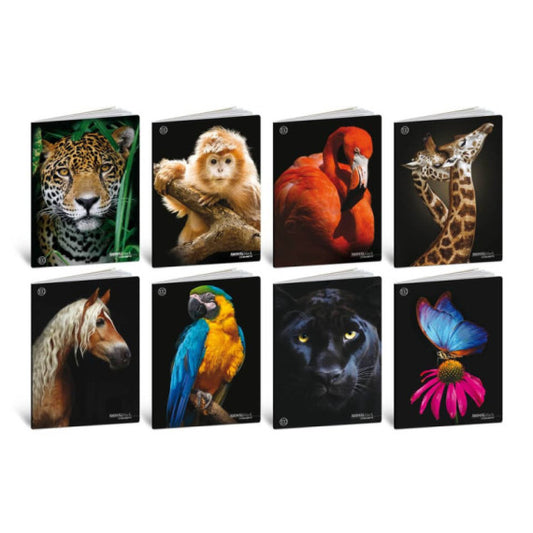 Maxi quaderni Blasetti Animali formato A4  carta 100 g conf. 10 pezzi rigatura C - 8633