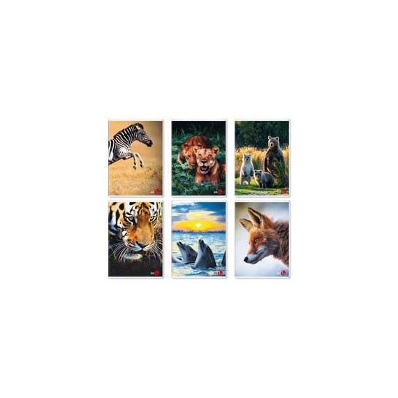 Maxiquaderno A4 40fg+2 80gr 1 rigo c/margine Animal 2023 BM