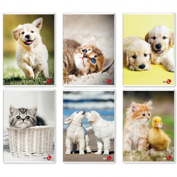 Maxiquaderno A4 40fg+2 80gr 1 rigo c/margine Cute 2023 BM