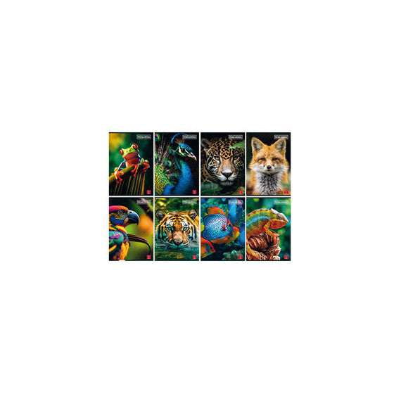 Maxiquaderno Animal - A4 - 1 rigo - c/margine - 42 fogli - 80 gr - Pigna