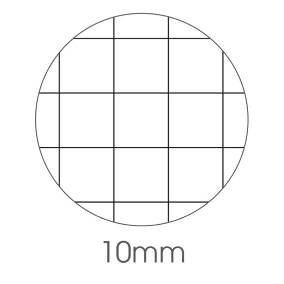 Maxiquaderno Animal fantasia - A4 - 40+2 fogli - 80gr - 10mm - BM