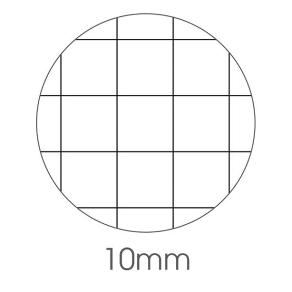 Maxiquaderno Animal fantasia - A4 - 40+2 fogli - 80gr - 10mm - BM