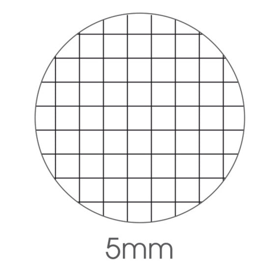 Maxiquaderno Be More Urban 2024 - A4 - 5 mm - 36+2 fogli - 100 gr - BM