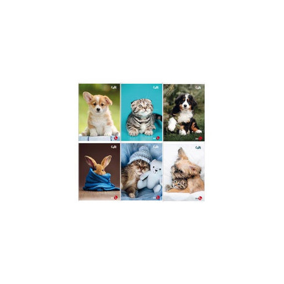 Maxiquaderno Cute fantasia - A4 - 40+2 fogli - 80gr - 5mm c/margine - BM