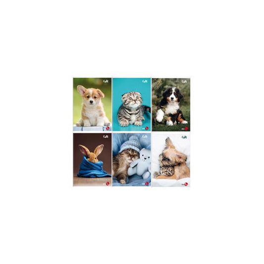Maxiquaderno Cute fantasia - A4 - 40+2 fogli - 80gr - 5mm c/margine - BM