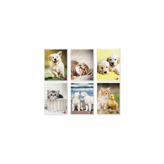 Maxiquaderno Cute fantasia - A4 - 40+2 fogli - 80gr - rigo di 1a - BM