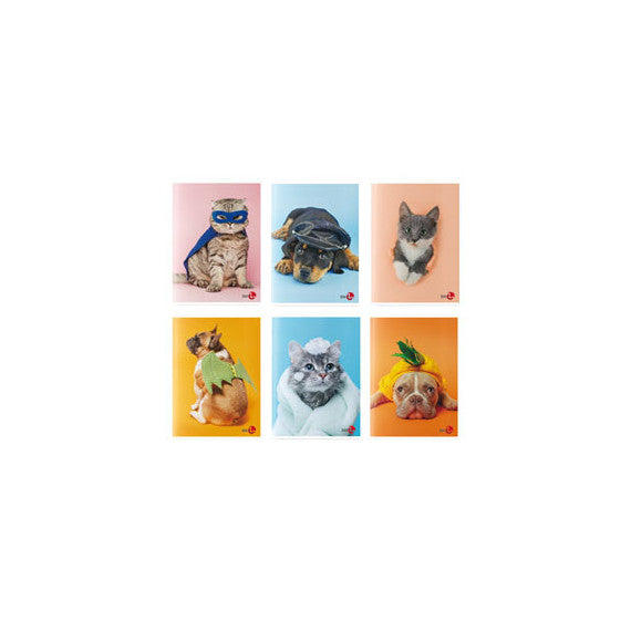 Maxiquaderno Cute fantasia - A4 - 40+2 fogli - 80gr - rigo di 3a - BM