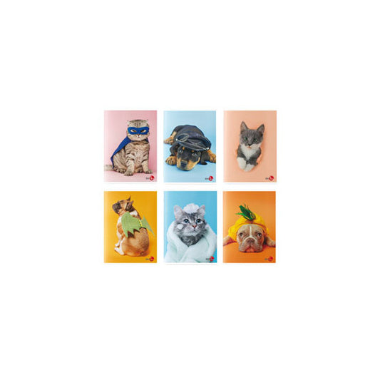 Maxiquaderno Cute fantasia - A4 - 40+2 fogli - 80gr - rigo di 3a - BM