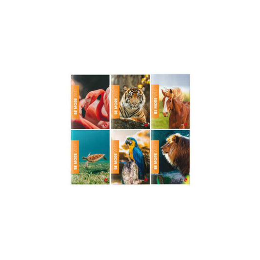 Maxiquaderno Wild be more special - A4 - 38 fogli - 100gr - 1 rigo - BM