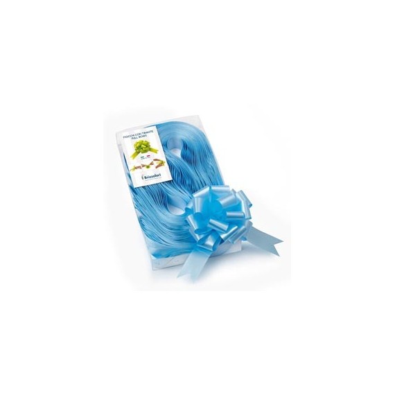Nastri strip 6800 - in polipropilene - azzurro 06 - per fiocco autocomponibile - 31 mm - diametro 13 cm - Brizzolari - c