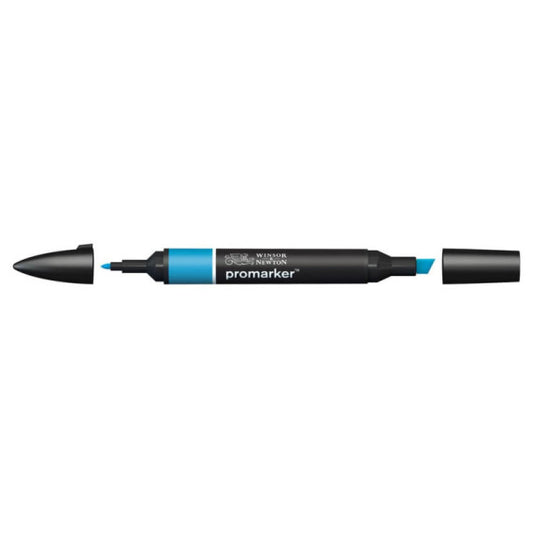Pennarelli doppia punta Winsor&Newton aegean - 0203189