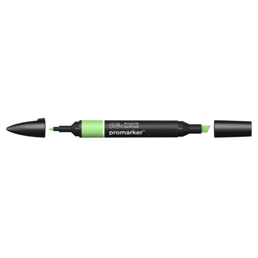 Pennarelli doppia punta Winsor&Newton apple - 0203210