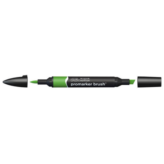 Pennarelli doppia punta Winsor&Newton brush forest green - 0204068