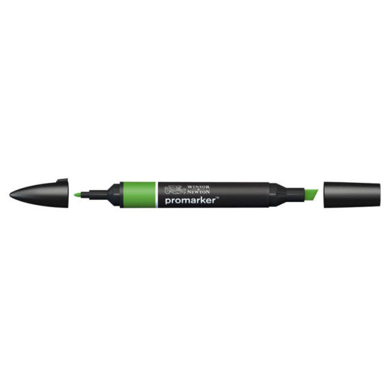 Pennarelli doppia punta Winsor&Newton forest green - 0203068