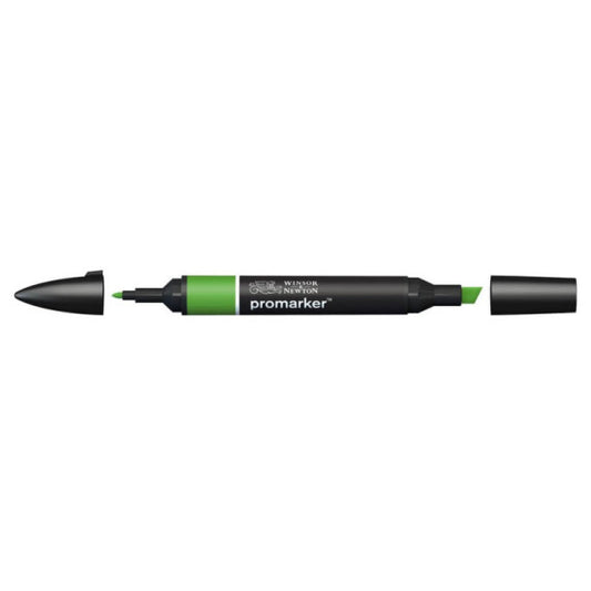 Pennarelli doppia punta Winsor&Newton forest green - 0203068