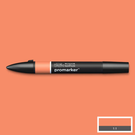 Pennarelli doppia punta Winsor&Newton pesca - 0203270