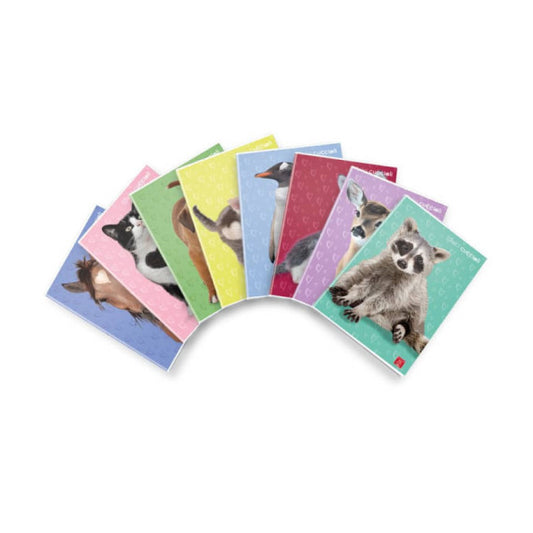 Quaderno 42 pagine PIGNA Dolci Cuccioli A4 a righe 0A con margine assortiti 02330170A