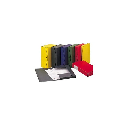 Scatola archivio Project - dorso 15 cm - 25 x 35 cm - verde - Esselte