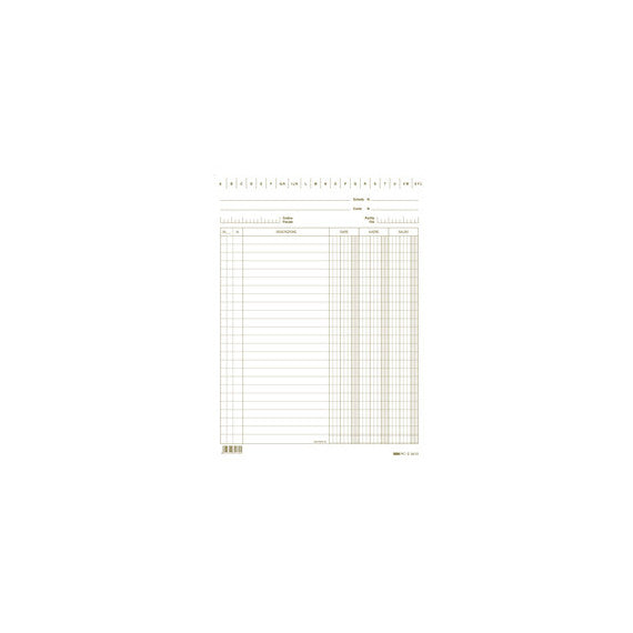 Schede dare/avere/saldo - 24 x 17 cm - verde - Edipro - conf. 100 pezzi