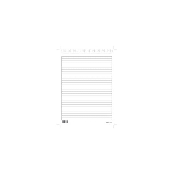 Schede in cartoncino rigate - 24 x 17 cm verticale - Edipro - conf. 100 pezzi