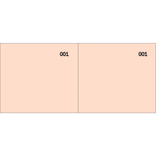 Scontrino colorato a 2 sezioni Data Ufficio blocco 100 copie prenumerate rosso - DU160000020